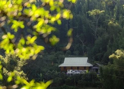 Phú Thọ: Kết hợp văn hóa và du lịch trong không gian liên kết mới