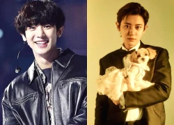 Sự hết thời của ca sĩ nổi tiếng quốc dân: Từng là mỹ nam vạn người mê, nay ê chề bị cắt sóng cũng không ai bênh