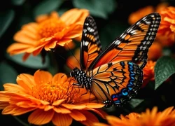 Tháng sinh Âm lịch và bí mật tài lộc: Bạn có nằm trong nhóm may mắn?