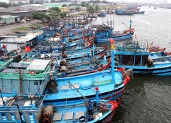 TP.HCM khẩn cấp ứng phó bão số 15 sắp xuất hiện