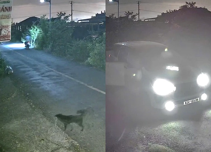 Trộm chó bằng ô tô gây náo loạn vùng quê