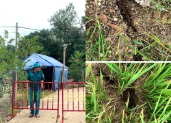 Trước bão số 15: Đắk Lắk khẩn cấp di dời 13 hộ dân do sạt lở núi