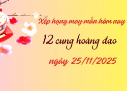 Xếp hạng may mắn tử vi 12 cung hoàng đạo ngày 25/11/2025: Ngày tốt của Bảo Bình