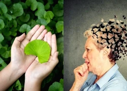 6 lợi ích sức khỏe của rau má