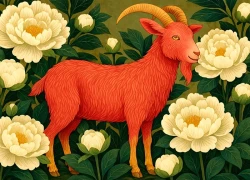 Bảng xếp hạng tài vận từ ngày 14, 15 tháng 10 âm lịch, 3 con giáp giàu sang nhất vùng, công việc làm gì cũng phất, tăng lương tăng thưởng vùn vụt