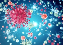 Căn bệnh thế kỷ HIV/AIDS và phép thử trách nhiệm