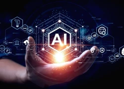 Dựng "tấm lá chắn" hữu hiệu