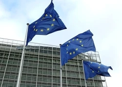 EU đẩy mạnh hợp tác và đầu tư tại châu Phi