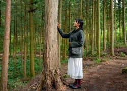 Khám phá Jeonbuk - "thiên đường" du lịch chăm sóc sức khỏe xứ kim chi