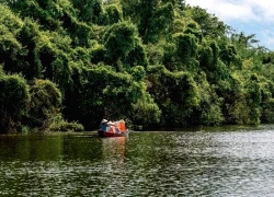 Khu bảo tồn Đồng Tháp Mười - 'trái tim xanh' gìn giữ bản sắc Nam Bộ