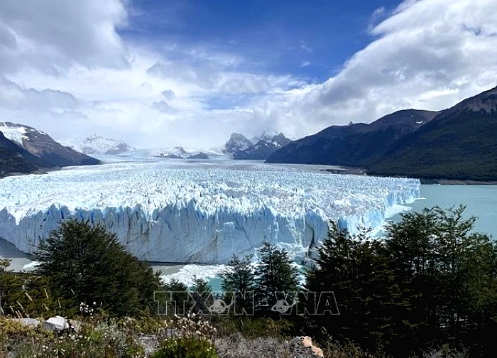 Lần đầu tiên công bố dữ liệu về thảm thực vật ở Nam Cực