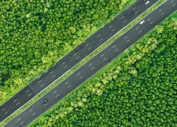 'Mạch xanh' xuyên tâm Cần Giờ chuẩn bị thay áo mới