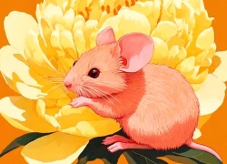 Trong 3 ngày đầu tuần (1/12 - 3/12), 3 con giáp giàu không thể cản, ngập tràn may mắn