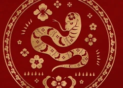 Tử vi tháng 12/2025 của những người tuổi Tỵ