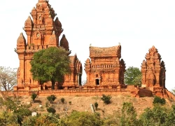 Vườn nho Ba Mọi: Tham quan miễn phí xứ sở nho Khánh Hòa