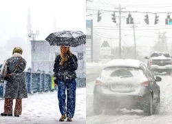 Bão gây tê liệt giao thông tại Phần Lan