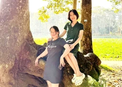 Đoàn khảo sát phát triển du lịch Vĩnh Long tham quan rừng cây cổ thụ có bộ rễ kỳ lạ