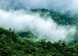 Khám phá tour xuyên rừng chinh phục "nóc nhà" Cúc Phương