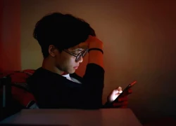 Bị trừ KPI vì chậm trả lời sếp đêm cuối tuần, tôi chịu 1 năm rồi tìm việc mới