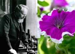 Những ý tưởng 'điên rồ' thay đổi thế giới