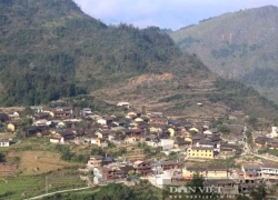 Tuyên Quang: 5 tọa độ ngắm hoa anh đào rực rỡ dịp Tết Dương lịch