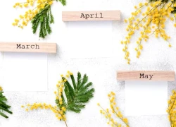 Những tháng sinh có thể giúp chủ nhân dễ leo lên vị trí CEO