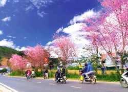 Thị trường du lịch sớm vào mùa Tết 2026