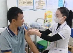 Hà Nội không để xảy ra ca tử vong do bệnh dại