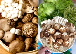 8 lợi ích sức khỏe tuyệt vời khi bạn ăn nấm thường xuyên