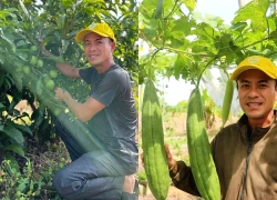 8X TPHCM biến mảnh đất trống thành khu vườn đặc biệt, kể chuyện quê hương