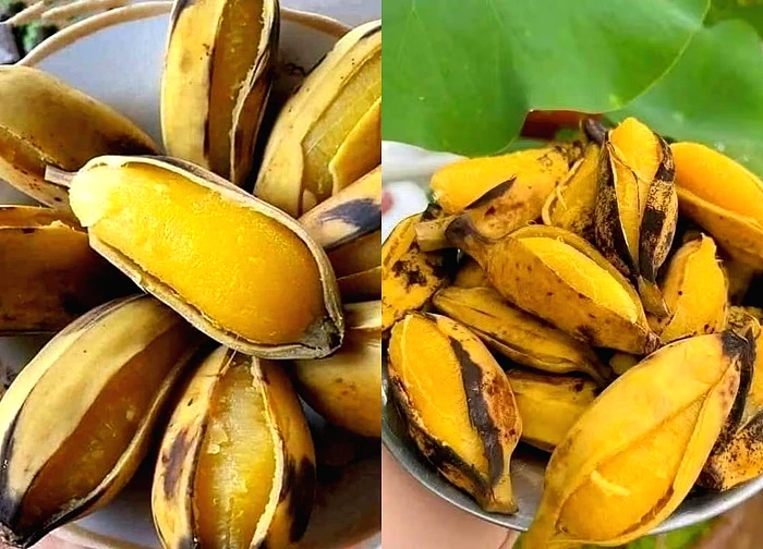 Ăn chuối thời điểm này: Vừa tăng cơ bắp vừa giúp ngủ ngon hơn