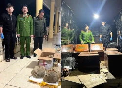 Cảnh sát phát hiện ô tô chở loài thú duy nhất trên thế giới có vảy cứng phủ cơ thể