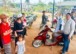 Gia Lai: 1 bé trai 6 tuổi tử vong do bệnh dại