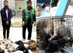 Hai người đàn ông bắt trộm chó, mèo ở Tây Ninh