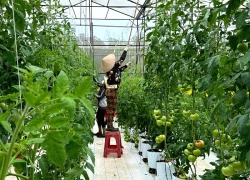 Israel và Mỹ ký thỏa thuận nông nghiệp lịch sử