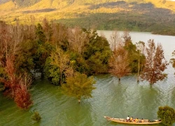 Mãn nhãn với mùa phong hương trút lá