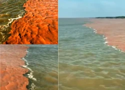 Nước biển Cà Mau tách thành hai màu lạ, dân mạng "ồ ạt" trước cảnh tượng hiếm