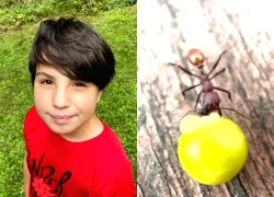 Phát hiện ở sân sau nhà của một cậu bé 8 tuổi đã thực sự thay đổi khoa học mãi mãi