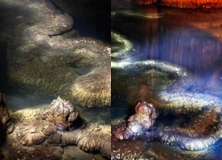 Phát hiện "rồng thật" dài 13 mét trong 1 hang động, chuyên gia: "Nó đã tồn tại ít nhất hàng trăm triệu năm"