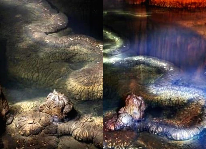 Phát hiện "rồng thật" dài 13 mét trong 1 hang động, chuyên gia: "Nó đã tồn tại ít nhất hàng trăm triệu năm"