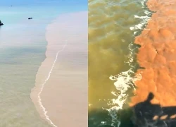 Thực hư hiện tượng biển 'âm dương' ở Cà Mau