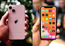 Tổng hợp top iPhone 'ngon, bổ, rẻ' theo từng phân khúc cuối năm 2025