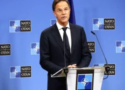 Tổng Thư ký NATO xoa dịu đồng minh về cam kết của Mỹ đối với liên minh