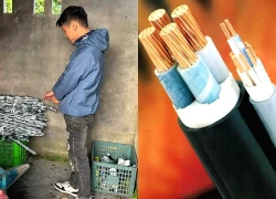 Triệu tập nghi phạm cắt trộm 121m dây cáp điện ở Hải Phòng