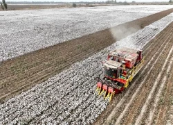 Trung Quốc chủ động gieo mưa để phòng, chống và giảm nhẹ thiên tai