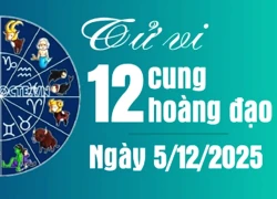 Tử vi 12 cung hoàng đạo thứ Sáu ngày 05/12/2025: Sư Tử vỡ mộng, Song Ngư thoát ế