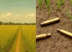 Vụ án thi thể bí ẩn giữa cánh đồng (kỳ 1): 3 lỗ thủng trên gò má nạn nhân