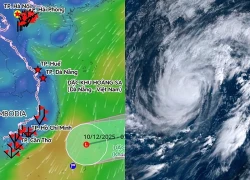 Áp thấp nhiệt đới vẫn giật cấp 8, di chuyển vào Biển Đông ngày mai 8/12