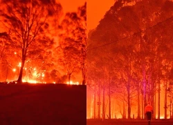 Australia: Kích hoạt cứu trợ thiên tai do cháy rừng tàn phá New South Wales
