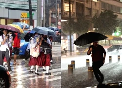 Bão lớn gây rối loạn giao thông, đóng cửa trường học tại Hy Lạp